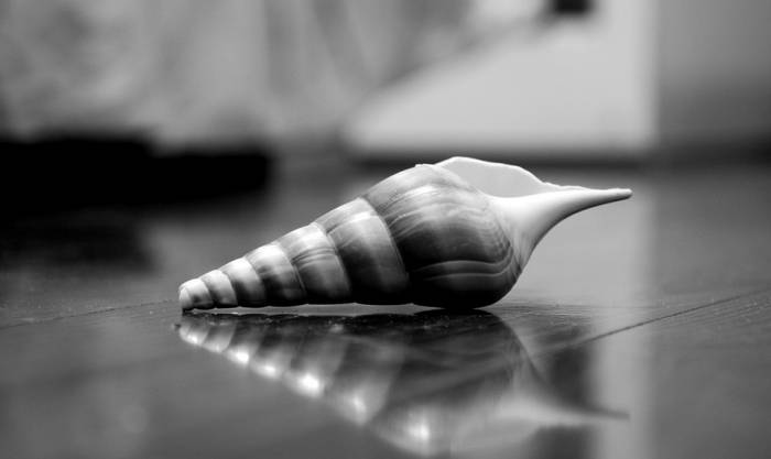 Bodo Amat 48 Kata Kata Mutiara Tidak Peduli Lampiran Kata Kata