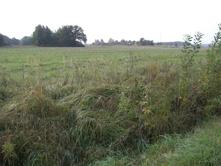 CIMG2550 - Bonuspromenad på dryga timmen