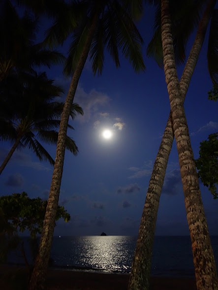 Reiseblog: Queensland – der schwüle Nordosten Australiens