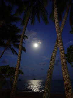 Reiseblog: Queensland – der schwüle Nordosten Australiens