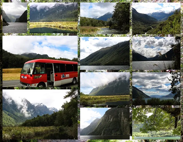 Scenes from Milford Sound and the BBQ Bus