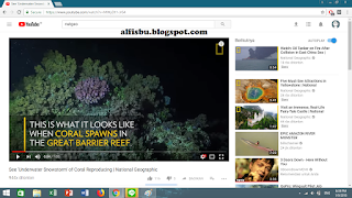 alfisbu-download video youtube