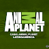 Ver Canal Animal Planet | Streaming Online [Español Latino | HQ]