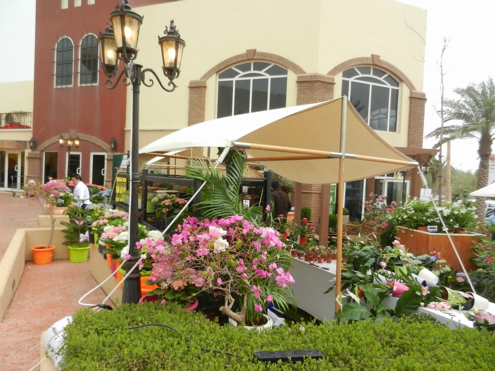 Kuweight 64 DELIGHTFUL ARGANA FLOWER BAZAAR