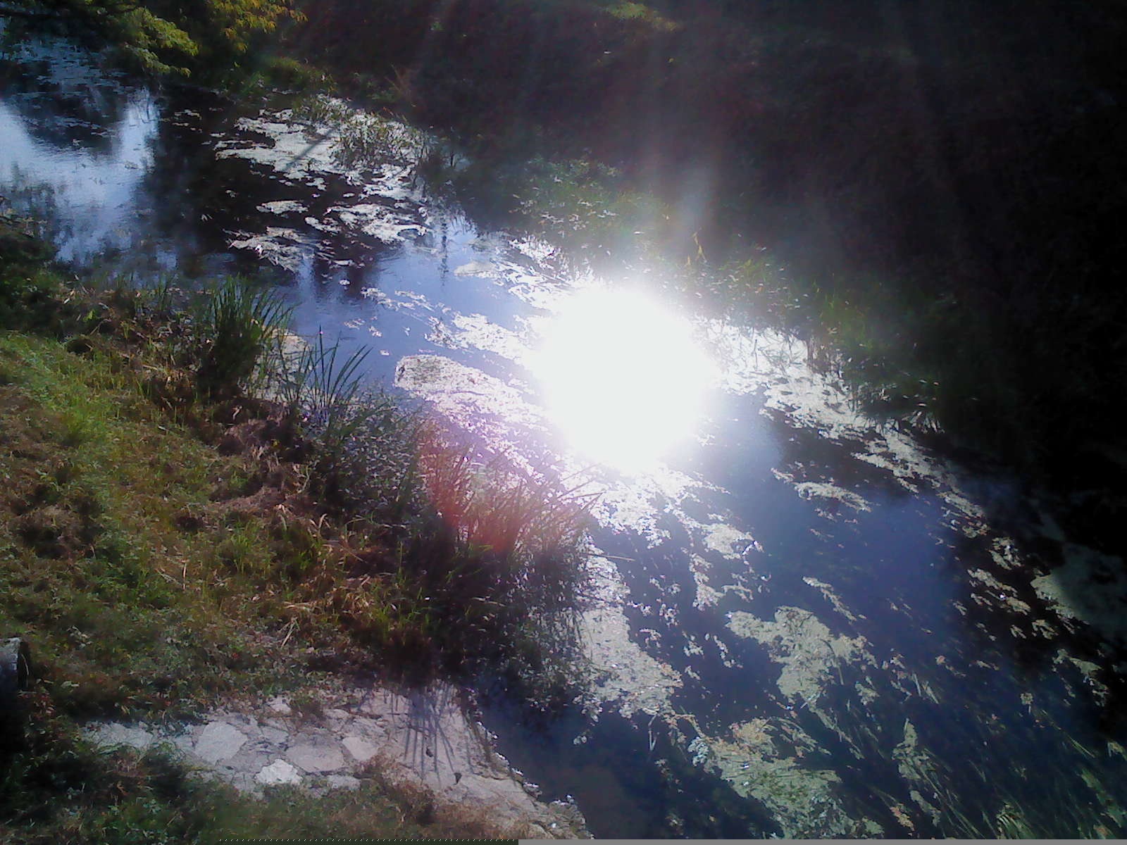 Otkrivanje istine: Voda