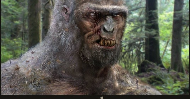 Bigfoot facial expression video — 7