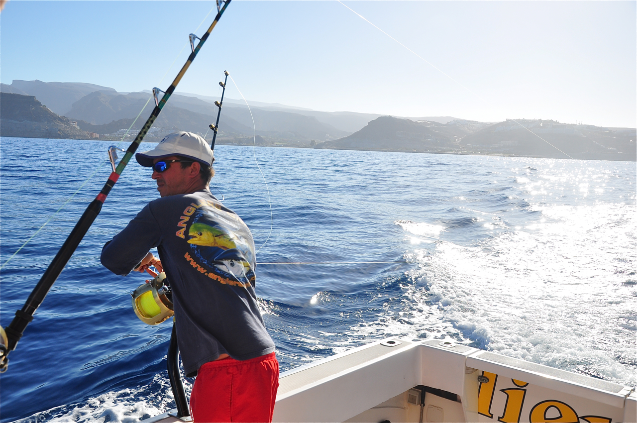 Stockholm Specimen Hunter's Group Marlin fishing; Puerto Rico, Gran