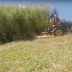King Kutter 4' Rotary Cutter in Action