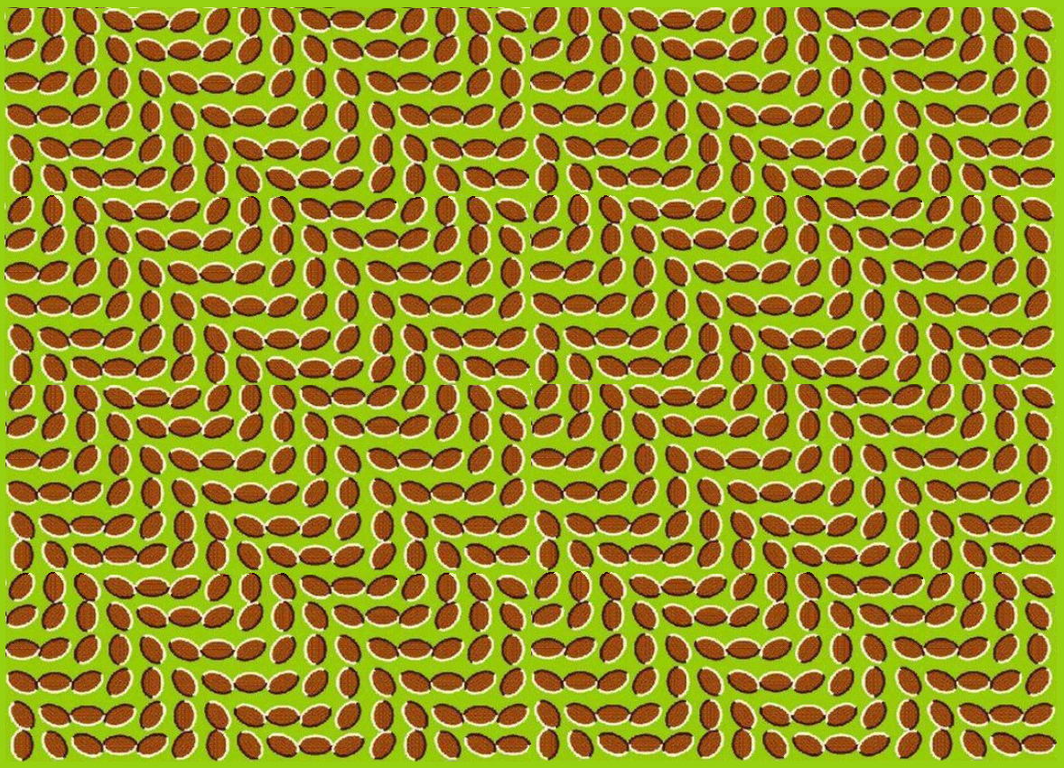 Optical Illusion of Movement Optical Illusion of Movement