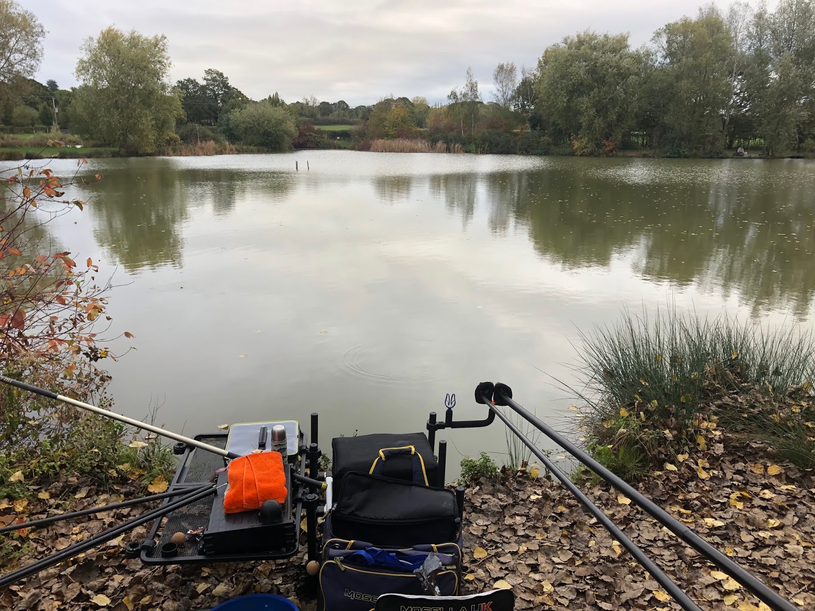 Mill Farm Fishery, 26th October 2018