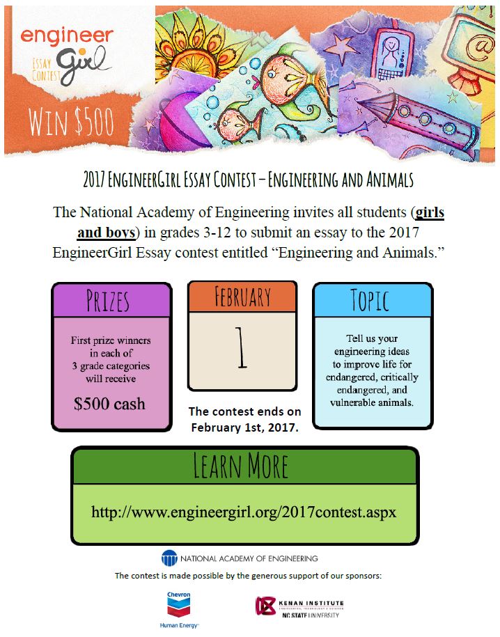 Engineergirl essay contest picture