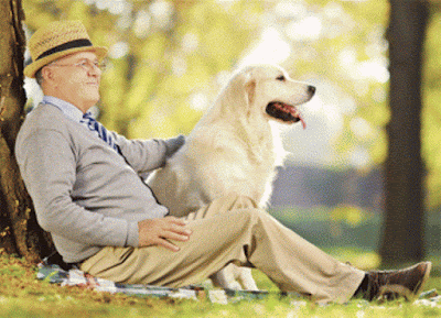 owning-dog-may-make-elderly-more-active