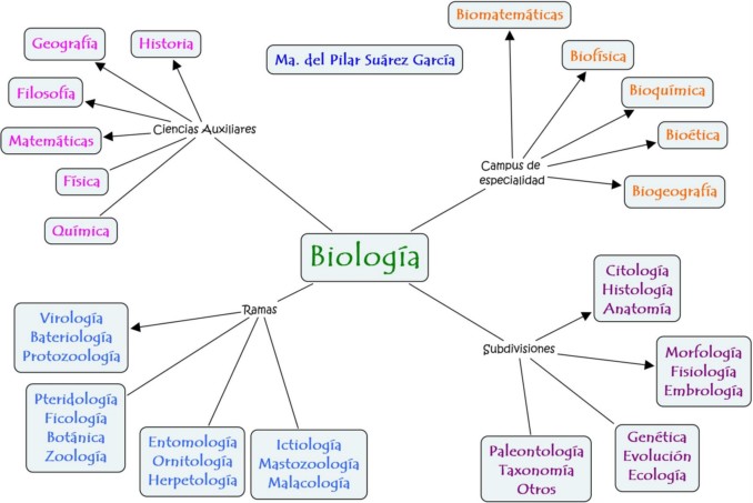 Mapa conceptual de Biologia