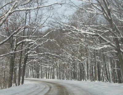 snowy curve on Conrad Road Ludington Michigan