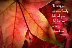 leaves autumn fall quotes god quote winter quotesgram macro lines between etching
