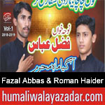 https://www.humaliwalyazadar.com/2018/09/fazal-abbas-roman-haider-nohay-2019.html
