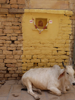 Día 5. Jaisalmer. - Indiaren ametsa (El sueño de India) (8)