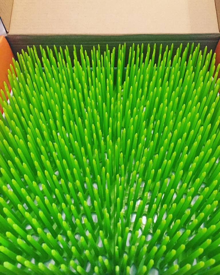 Grass drying rack REVIEW Sin City Mama