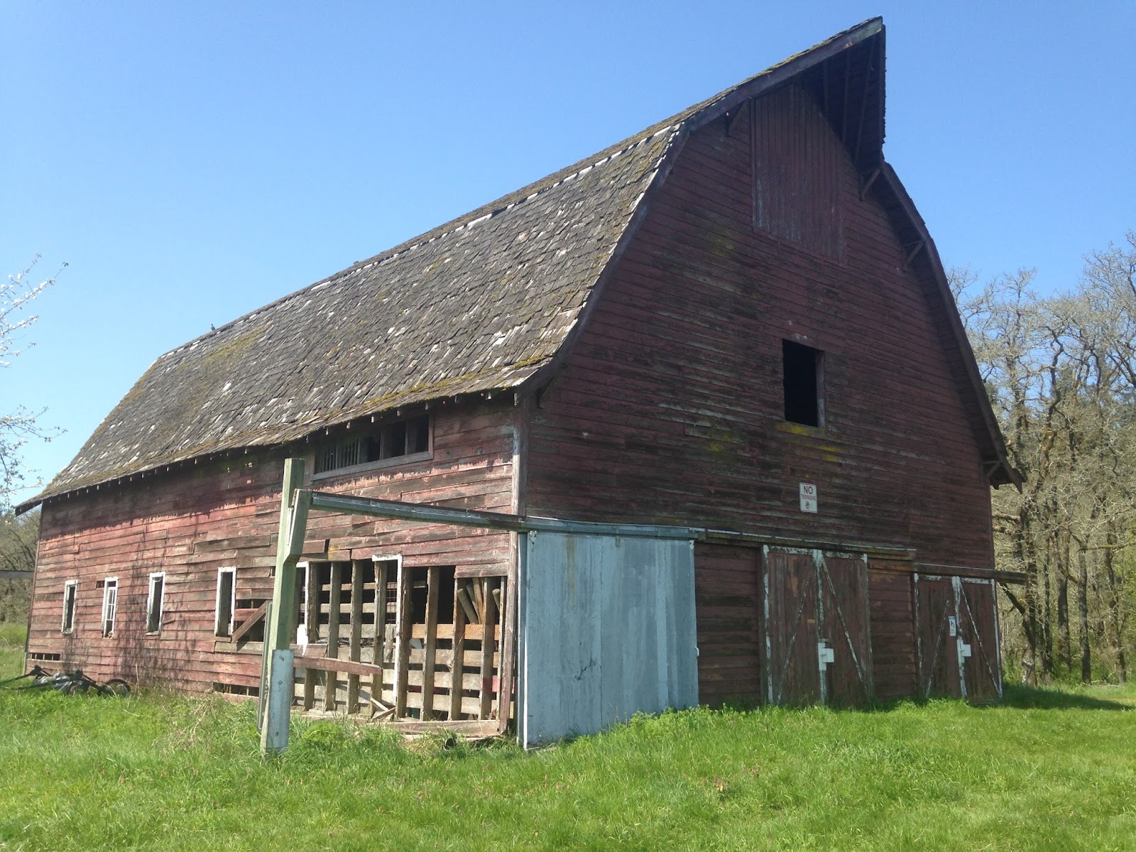 This Life In Ruins Barn At Scatter Creek Wildlife Area