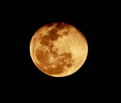 "Wolf Moon 22 Jan 2019"