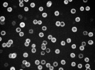 Core-shell Nanoparticles