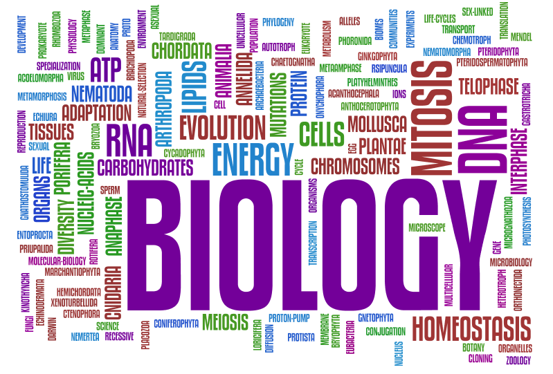 Блог учителей биологии