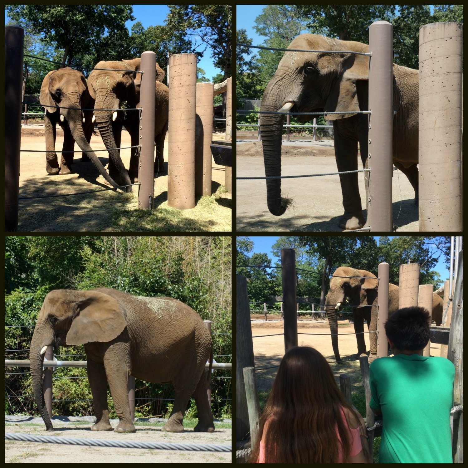 weather roger williams zoo weather roger williams zoo