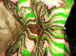 Resep Bolu Kukus Aneka Warna Enak dan Lembut Resep Bolu Kukus Aneka Warna Enak dan Lembut