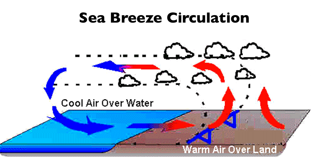 NephiCode: Understanding Coastal Breezes and Prevailing Winds