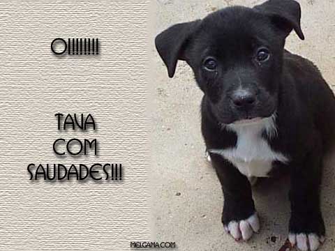 Resultado de imagem para saudades blog