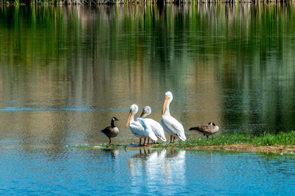 Jon's Journeys Meadows RV Park, Miles City, MT