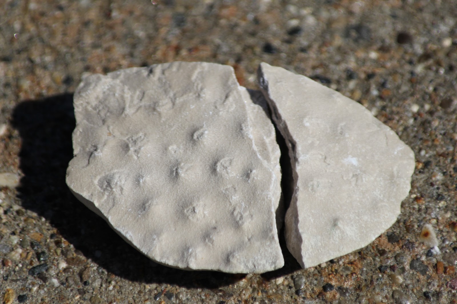 Isabella Conservation District Environmental Education Program Four