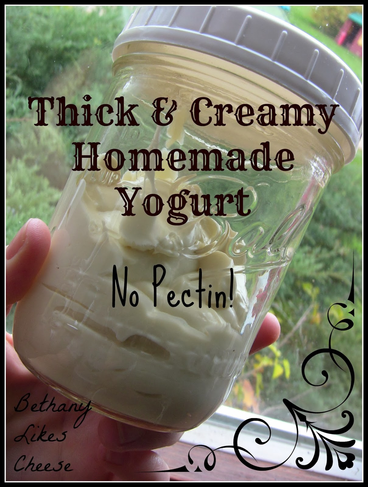 Bethany Likes Cheese How to Make Homemade Yogurt Thick and Creamy