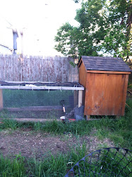 enclosure coop chicken farm building urban project location