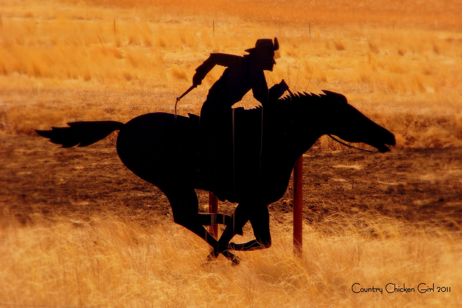 Cabalgando Rico Notas de Mingo: Cabalgando