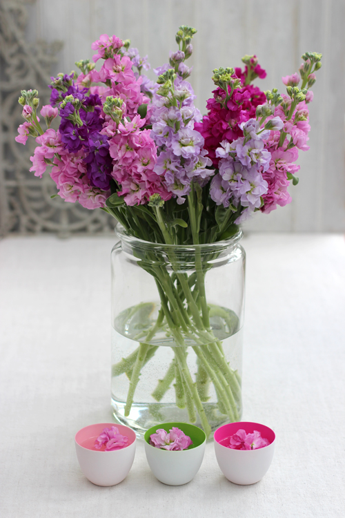 ...OF SPRING AND SUMMER... Creative with Flowers 5 Pink and Purple