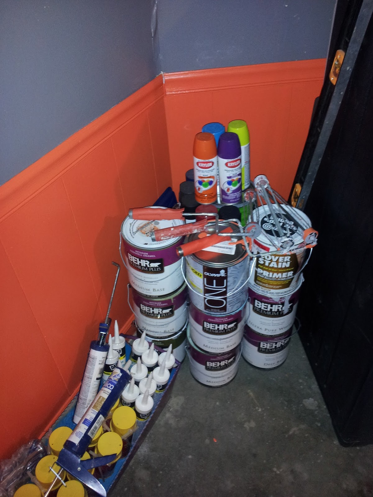 Where Learning is FUN! Operation Garage Organization )