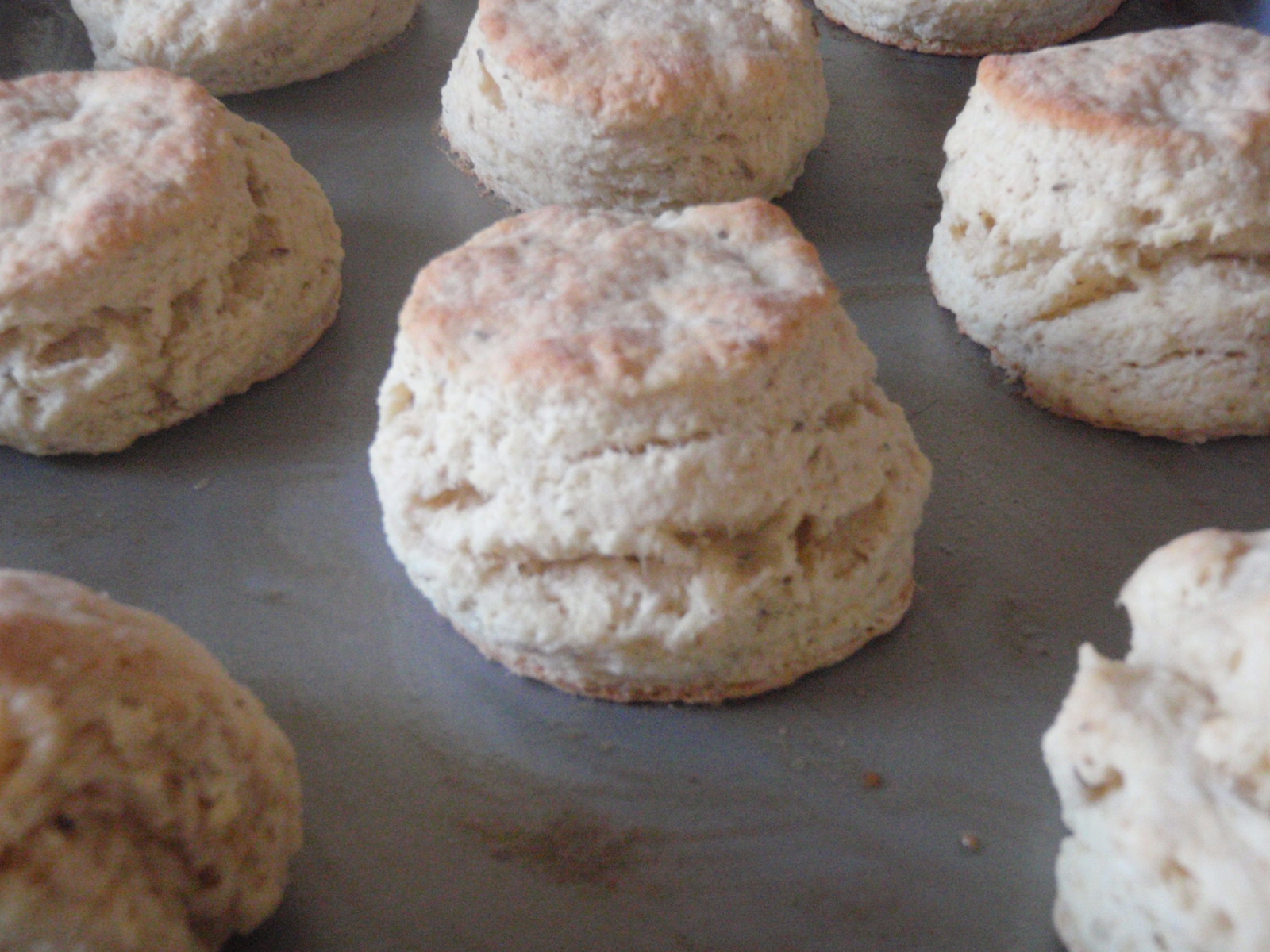 Seasons from Scratch Springtime HandGround Fennel Seed and Buttermilk