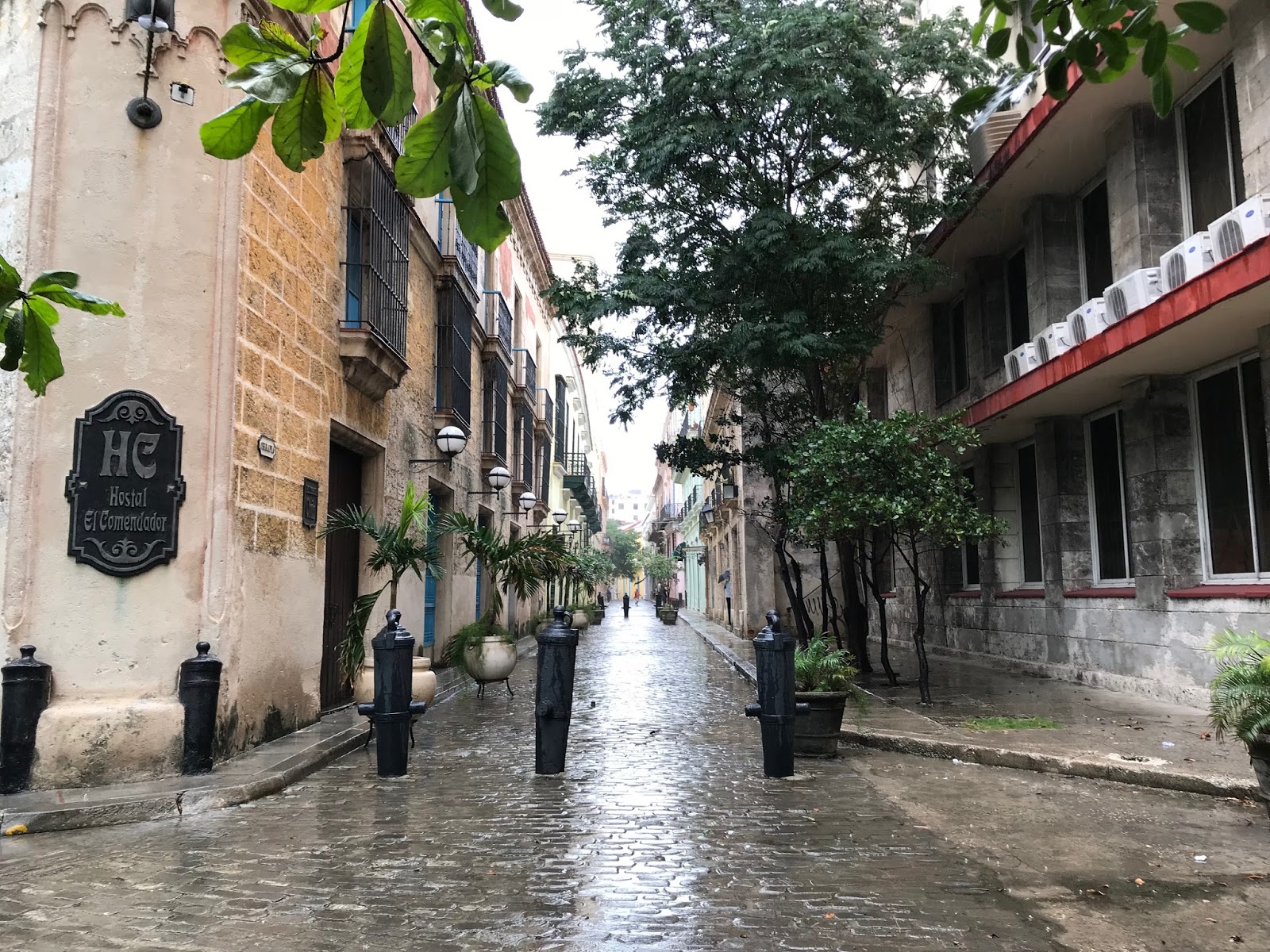 Schwarz Regen Wanderfreunde Hainsacker