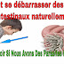Le nettoyage du sang par les moyens nationaux des parasites