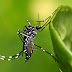 City health office intensifies 4S strategy vs dengue