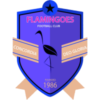 FLAMINGOES FC