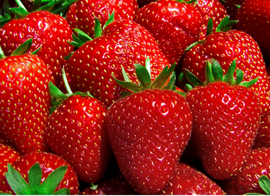 Gambar  Buah  Strawberry Merah  Segar Aku Buah  Sehat