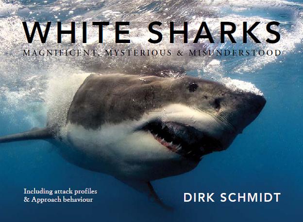 White Sharks Magnificent Mysterious Amp Misunderstood