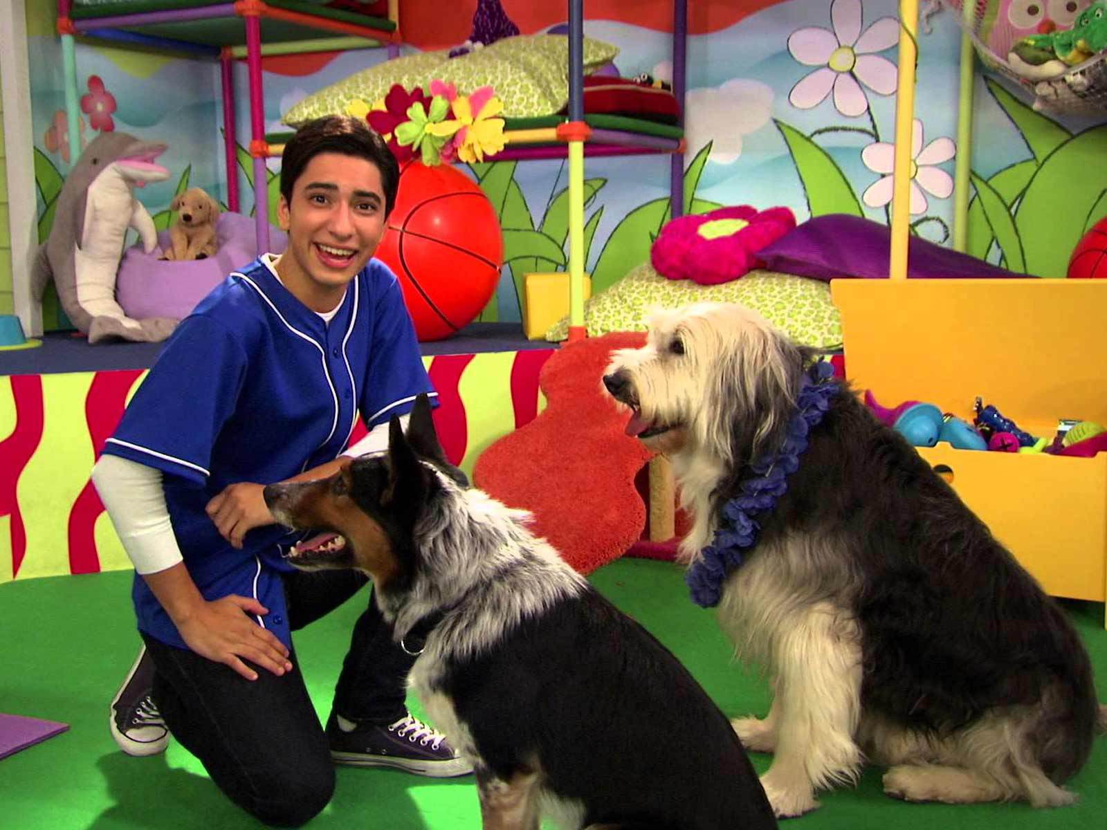 NickALive!: Animal Trainers Sue Over Talent Fight on Nickelodeon's 'Mutt &  Stuff'
