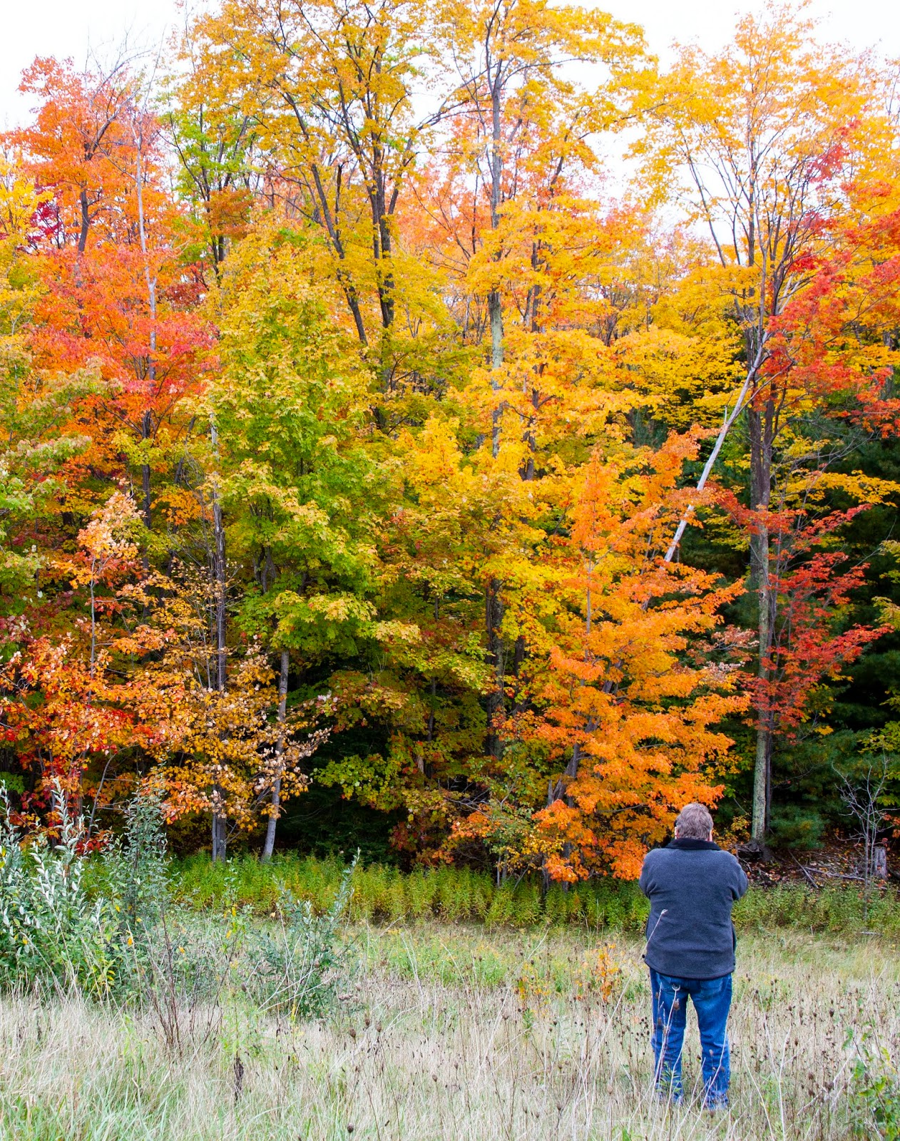 If I Were Going October 2018