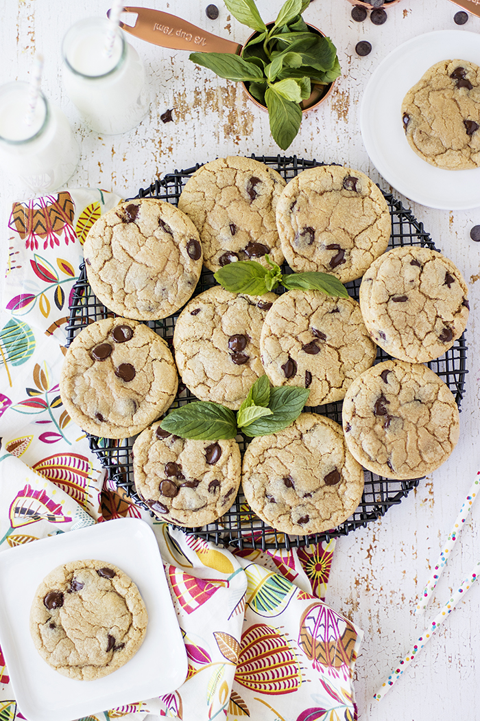 NANELİ ÇİKOLATA PARÇACIKLI KURABİYE Damy�s Kitchen