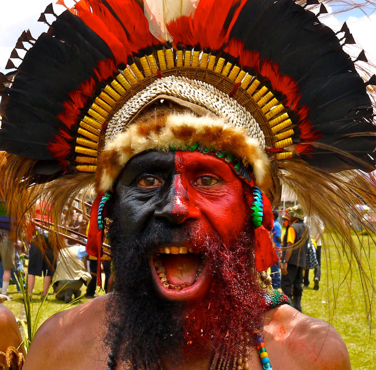 Племя гвинея. Папуа — новая Гвинея. Гвинея Папуасы. Папуа новая Гвинея Папуасы. Папуасы новой Гвинеи дикари.