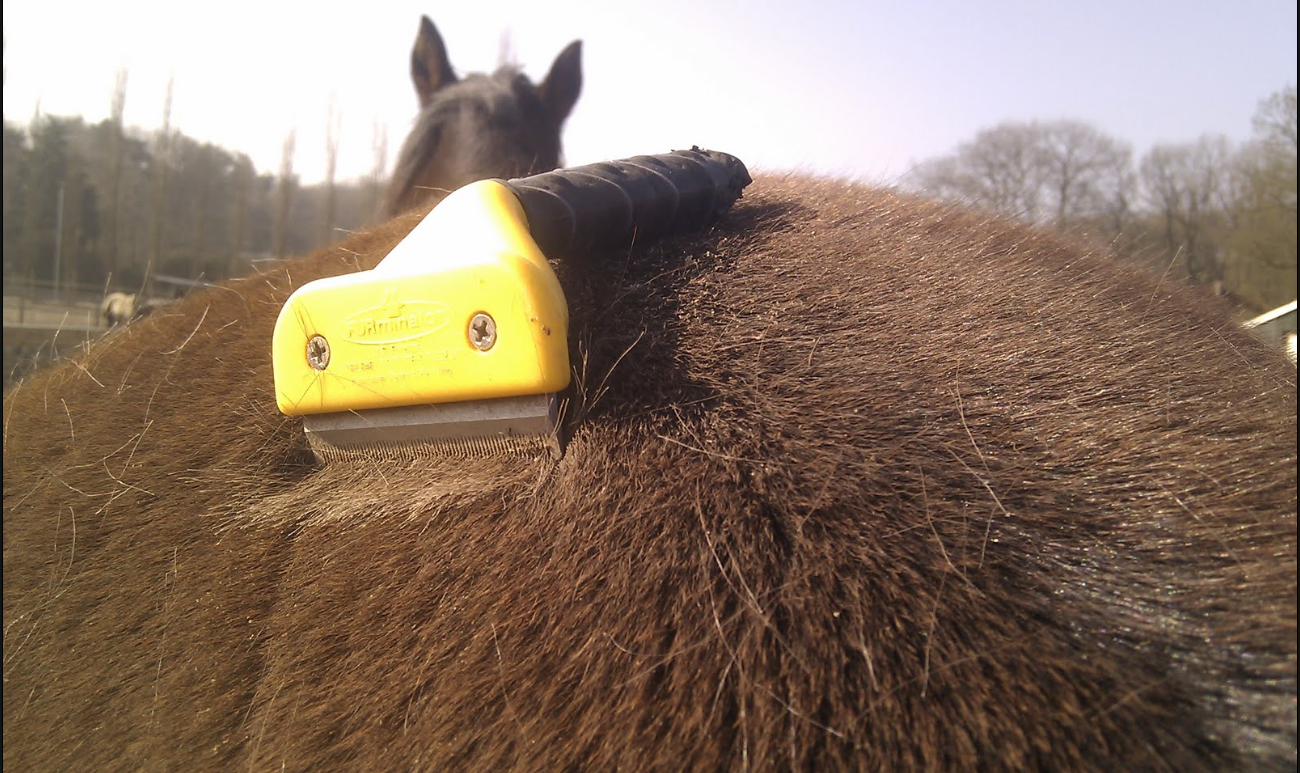 Journal of Ravenseyrie Horse Hair Yarn Spinning Rudolf