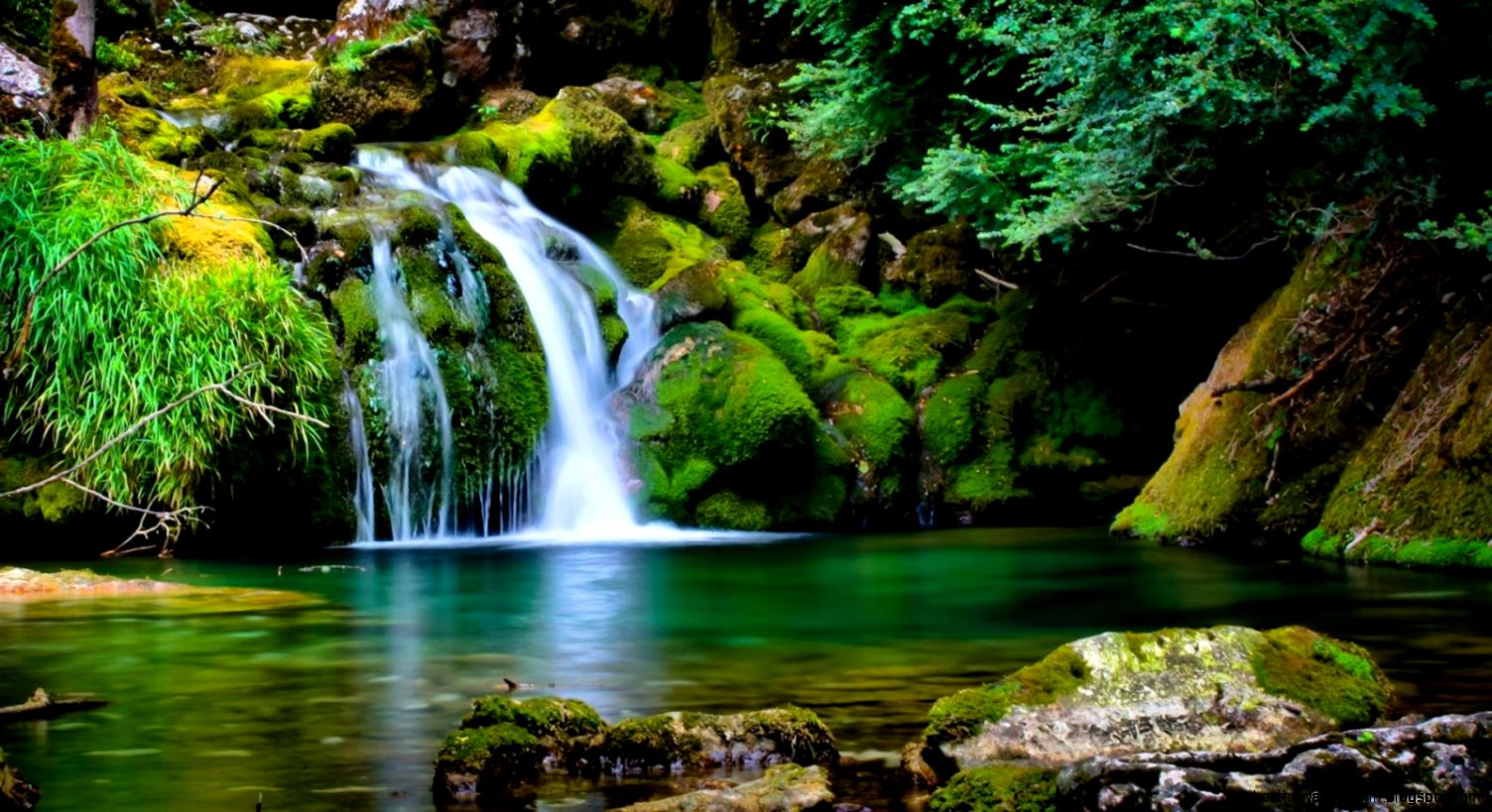 Desktop Wallpaper Nature Full Size 3d  HD Wallpaper Stock